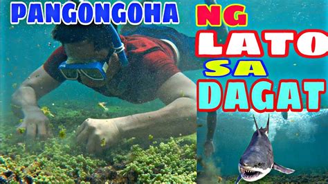 DAGAT: Tagalog.